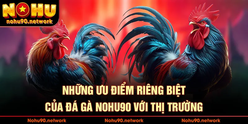 ƯU điểm riêng biệt của đá gà nohu90 với thị trường