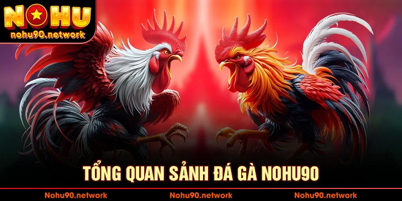 Tổng quan về sảnh đá gà tại nohu90